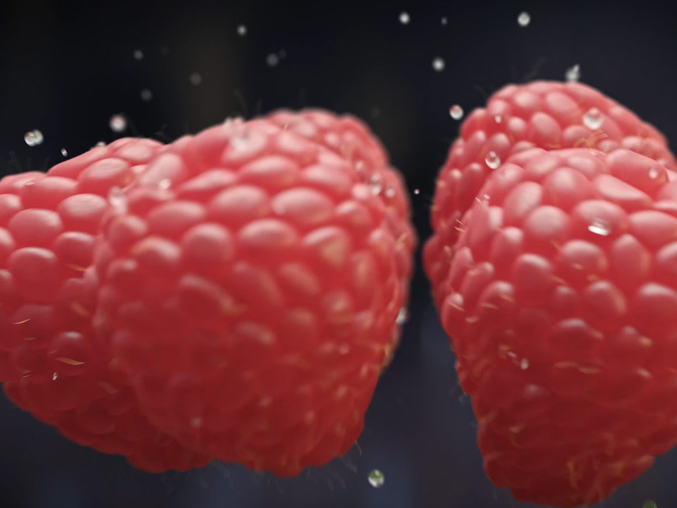 A still image taken from a 3D animation for a Raspberry Gin showing a close up of the raspberries. Created by Fictionizer.tv. Een afbeelding uit een 3D Animatie voor een Frambozen Gin. Het laat een close-up zien van een aantal frambozen. Gemaakt door Fictionizer.tv.